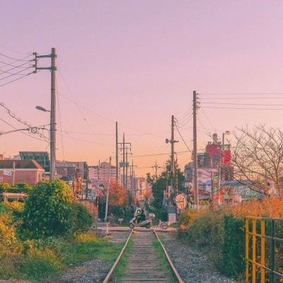 押注篮球的appapp下载