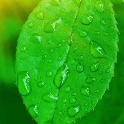 押注篮球的appapp下载